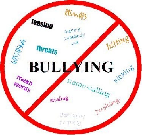 Dorong Penyuluhan Bahaya Bullying di Sekolah
