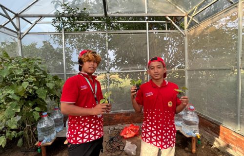 Mahasiswa Untag Surabaya Tanam Ulang Toga di Greenhouse