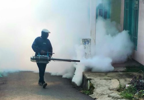 Al registrar más casos de dengue hemorrágico, la aldea de Temas y la ciudad de Batu se convirtieron en blanco de la niebla
