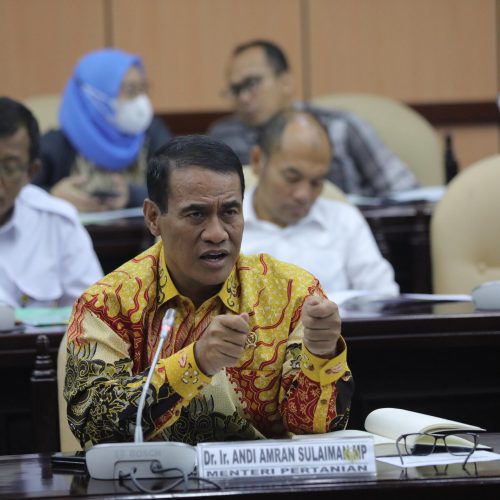 Dorong Stabilitas Harga: Komite II DPD RI Panggil Menteri Pertanian dan Pihak Terkait
