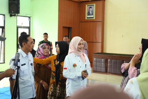 Bertemu Kader Posyandu Dermo Kota Kediri, Mbak Vinanda Tawarkan Ambulans Gratis